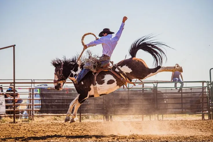 camp crook match bronc